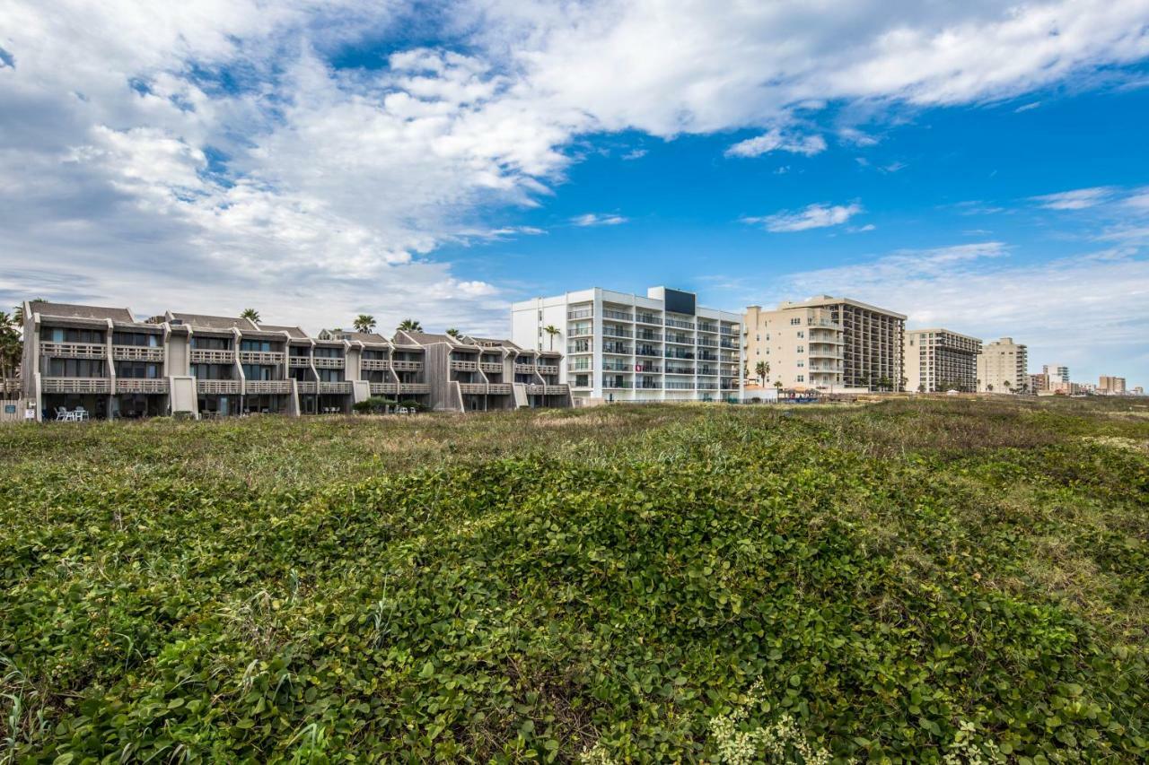 Palm Tree Escape Apartment South Padre Island Exterior photo