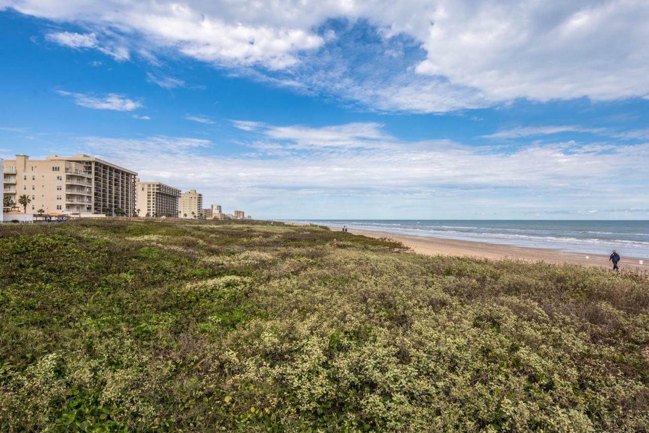 Palm Tree Escape Apartment South Padre Island Exterior photo