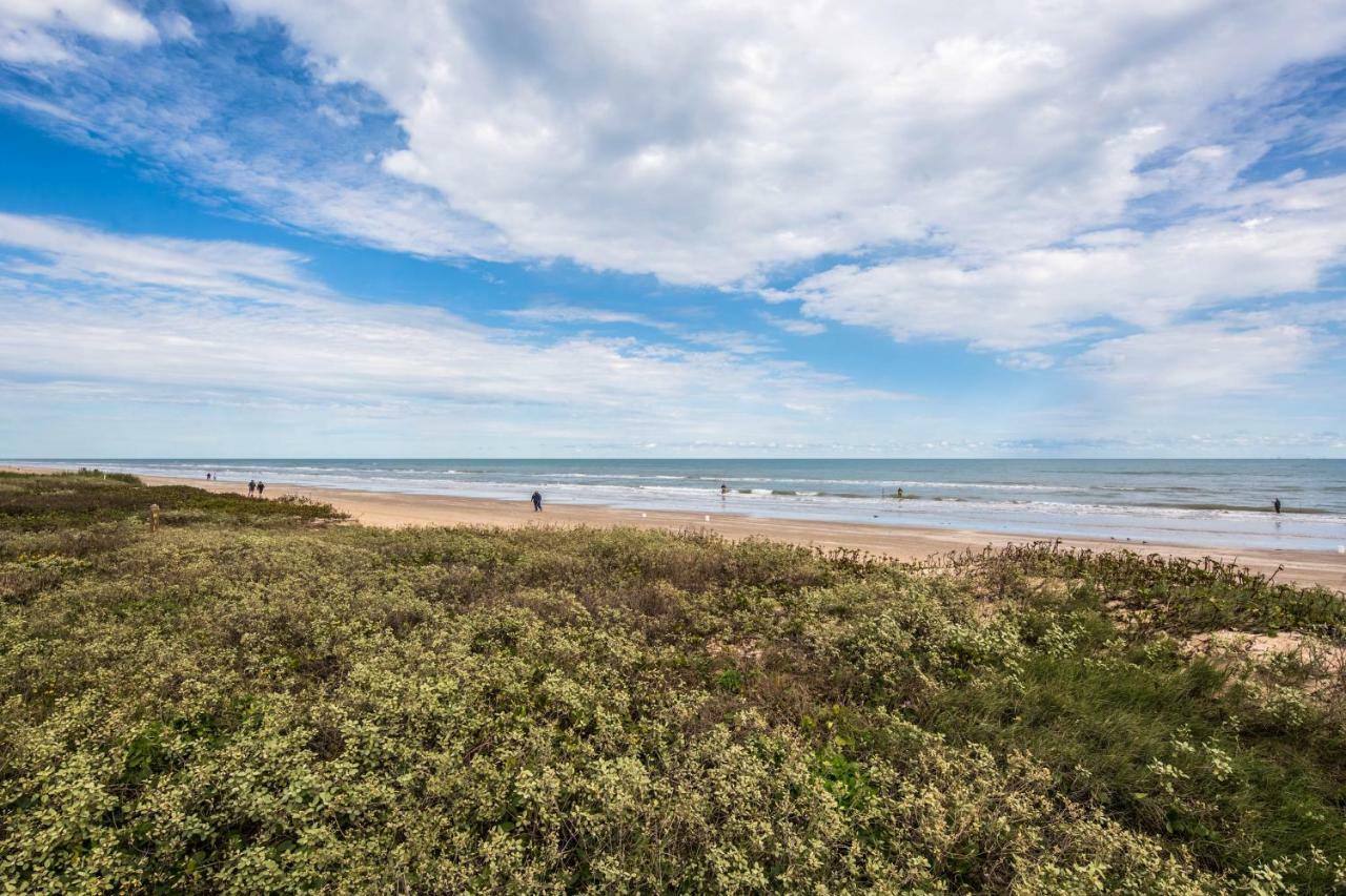 Palm Tree Escape Apartment South Padre Island Exterior photo